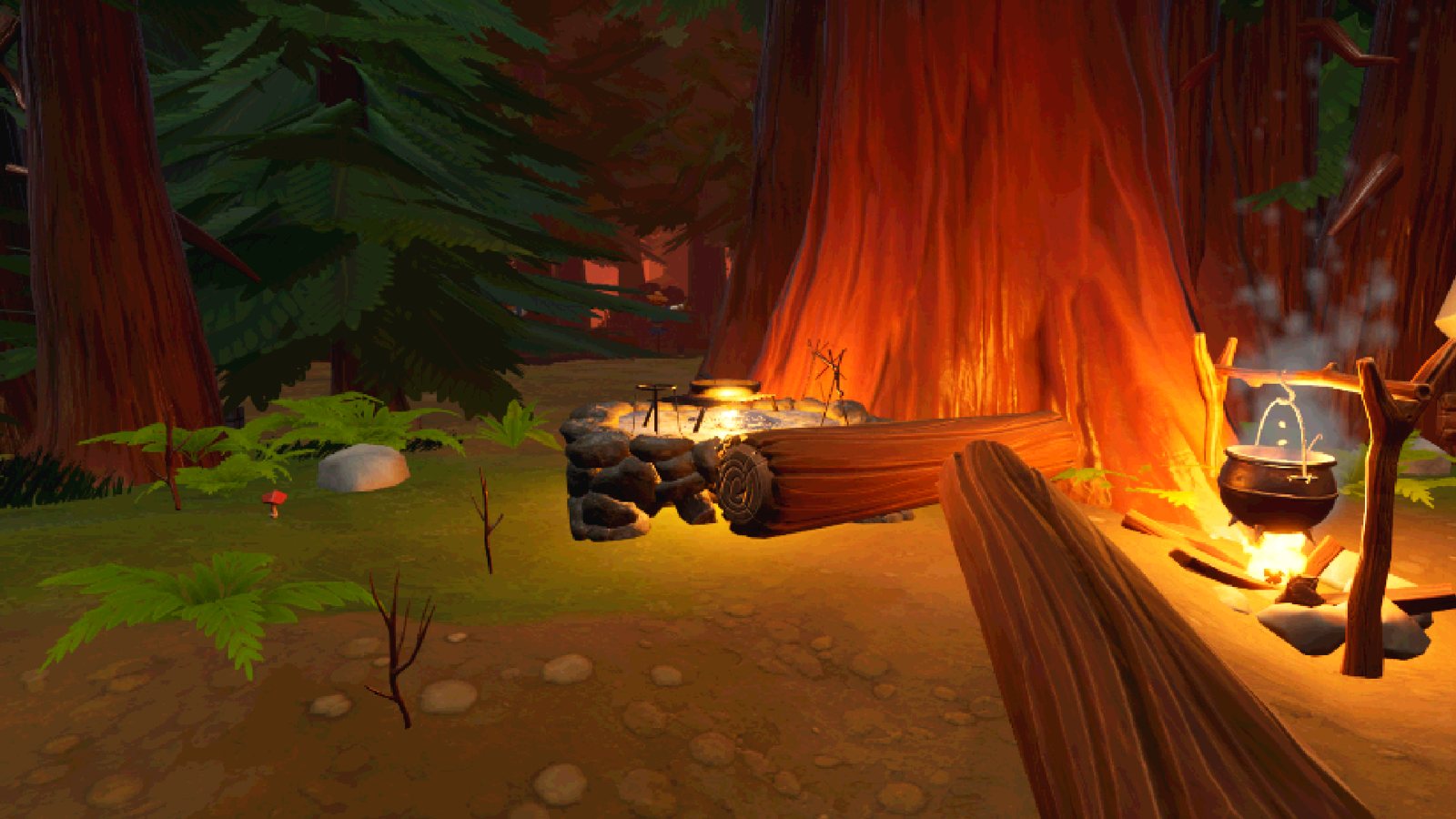Campfire under giant redwood trees in the forest camp